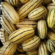 Wild Rice Stuffed Delicata Squash [V/GF]