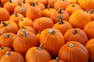 Maple Pumpkin Whoopie Pies [V]